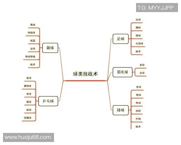 热议排球：西安排球队配合新策略引发技术革新与战术变革